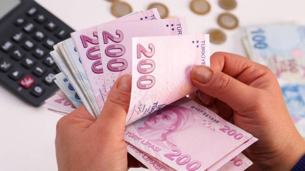 İçişleri Bakanlığının istihdam edeceği 30 bin TYP'linin hakları